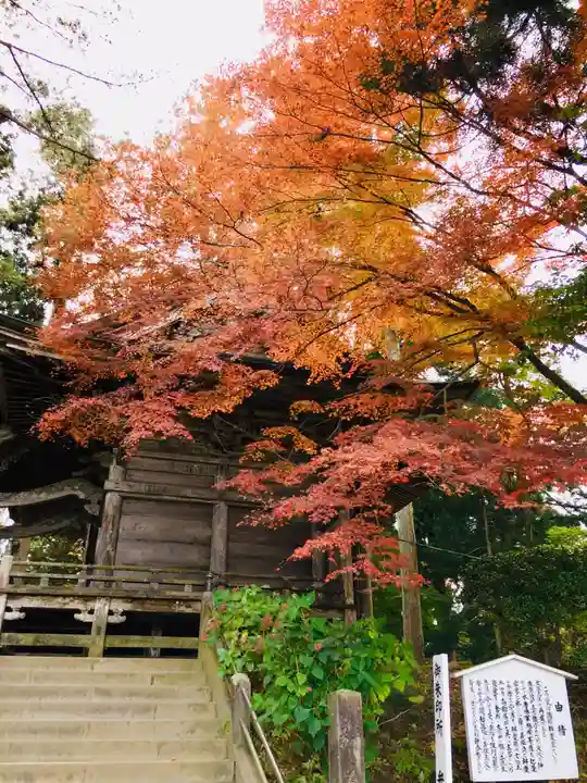 中尊寺本堂の自然