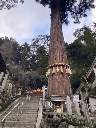 由岐神社(京都府)