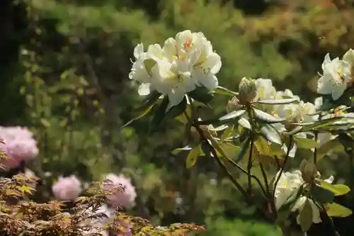 三春大神宮の庭園