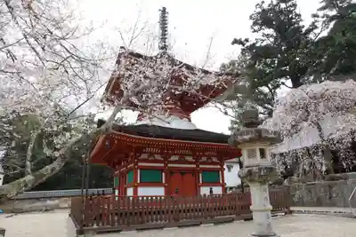 金剛寺のその他建物
