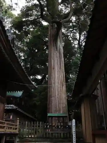事任八幡宮(静岡県)