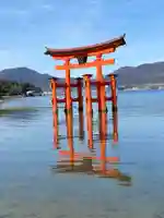 厳島神社の鳥居