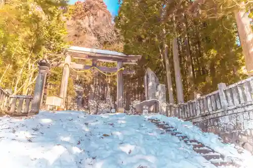 戸隠神社宝光社の鳥居