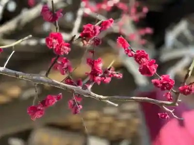 普門院の{uncategorized: "未分類", other: "その他", undefined: "問題あり", building: "その他建物", grave: "お墓", sacred_gate: "鳥居", guardian: "狛犬", statue: "像", buddha: "仏像", history: "歴史", nature: "自然", garden: "庭園", animal: "動物", pagoda: "塔", temizu: "手水舎", mountain_gate: "山門・神門", sanctuary: "本殿・本堂", subordinate: "末社・摂社", art: "芸術", scenery: "景色", jizo: "地蔵", ema: "絵馬", goshuin: "御朱印", omikuji: "おみくじ", items: "授与品その他", amulet: "お守り", goshuincho: "御朱印帳", eats: "食事", festival: "お祭り", votive_dance: "神楽", shichigosan: "七五三参", wedding: "結婚式", experience: "体験その他", initially: "初詣", around: "周辺", anti_infection: "感染症対策"}