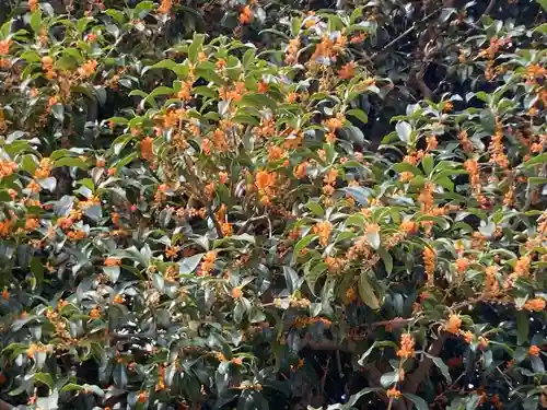 吉祥院(東京都)