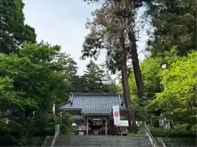 千代ケ岡八幡宮(栃木県)