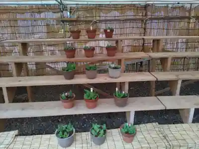 前原御嶽神社のその他建物