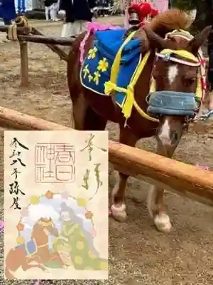 愛知県高浜市春日神社(愛知県)