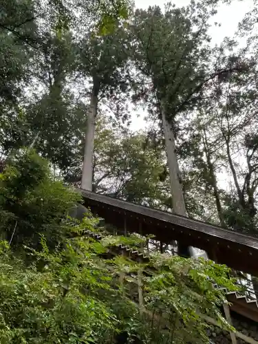 丹生川上神社（下社）(奈良県)