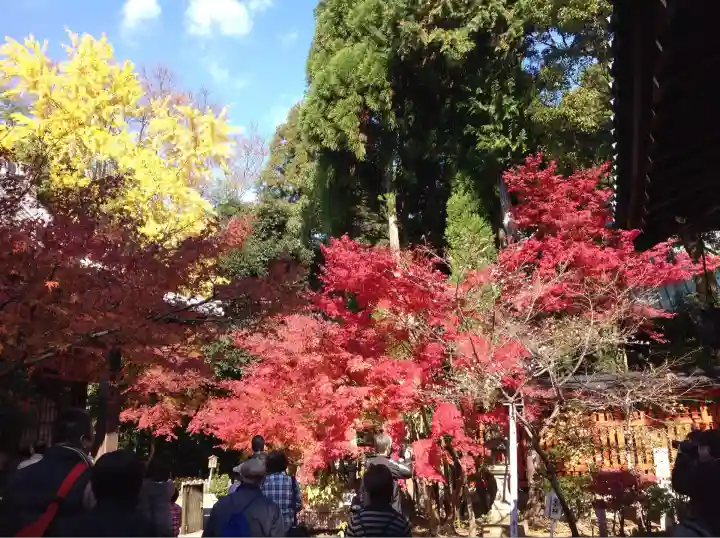 赤山禅院(京都府)