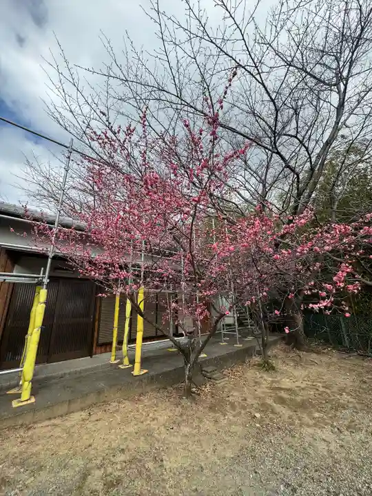 成就寺(三重県)