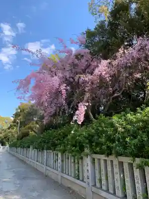 和泉國一之宮　大鳥大社のその他建物