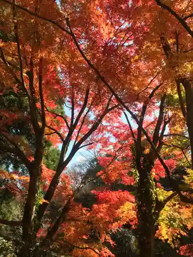 八女津媛神社の自然