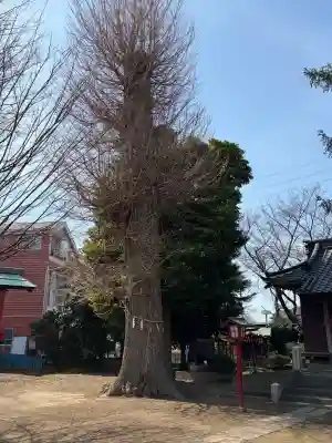 雷電神社の{uncategorized: "未分類", other: "その他", undefined: "問題あり", building: "その他建物", grave: "お墓", sacred_gate: "鳥居", guardian: "狛犬", statue: "像", buddha: "仏像", history: "歴史", nature: "自然", garden: "庭園", animal: "動物", pagoda: "塔", temizu: "手水舎", mountain_gate: "山門・神門", sanctuary: "本殿・本堂", subordinate: "末社・摂社", art: "芸術", scenery: "景色", jizo: "地蔵", ema: "絵馬", goshuin: "御朱印", omikuji: "おみくじ", items: "授与品その他", amulet: "お守り", goshuincho: "御朱印帳", eats: "食事", festival: "お祭り", votive_dance: "神楽", shichigosan: "七五三参", wedding: "結婚式", experience: "体験その他", initially: "初詣", around: "周辺", anti_infection: "感染症対策"}