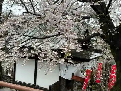 喜多院(埼玉県)