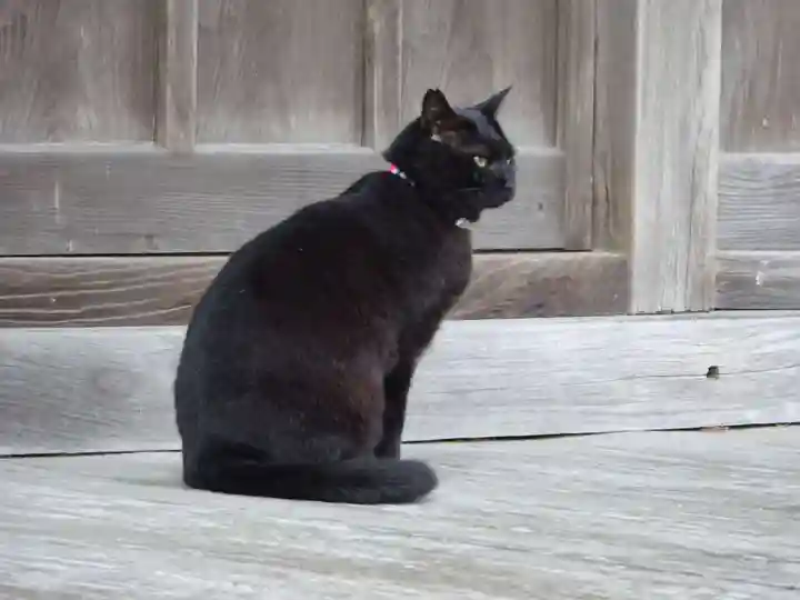 かっぱの寺 栖足寺(静岡県)