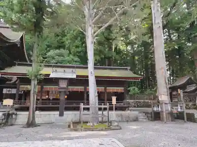 諏訪大社下社秋宮の本殿・本堂