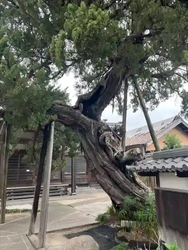 光明寺(愛知県)