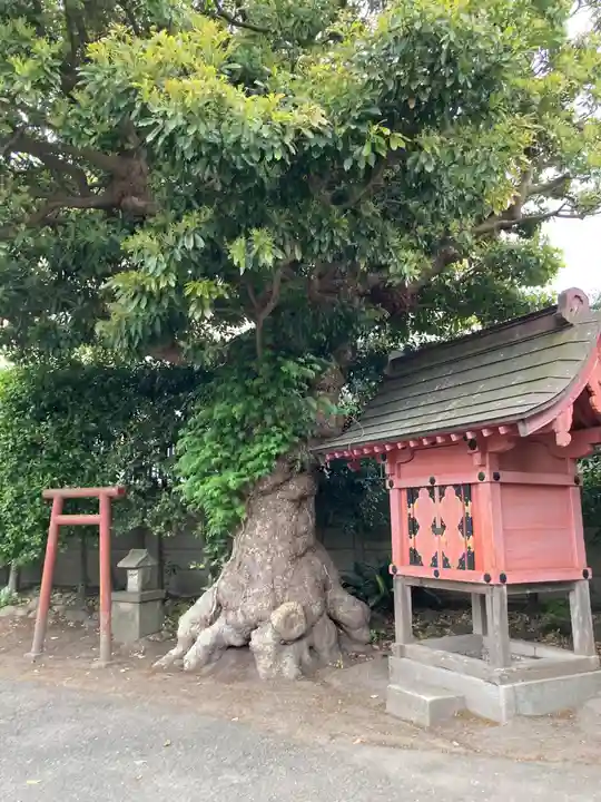 本興寺(神奈川県)