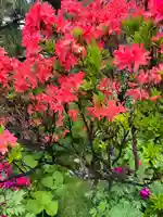 宝壽山 吉祥院の自然