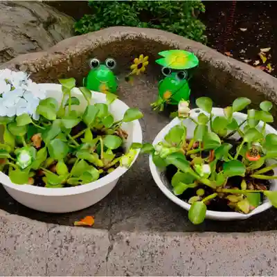 彌彦神社　(伊夜日子神社)の手水舎