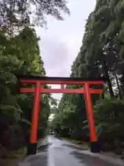 霧島神宮(鹿児島県)