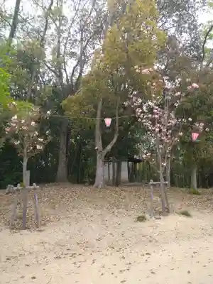 千光寺奥之院の自然