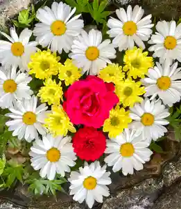 伊達神社(北海道)(2022年06月25日(土) 12時15分29秒投稿)