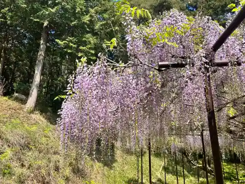 天台宗 五大山 白毫寺(兵庫県)
