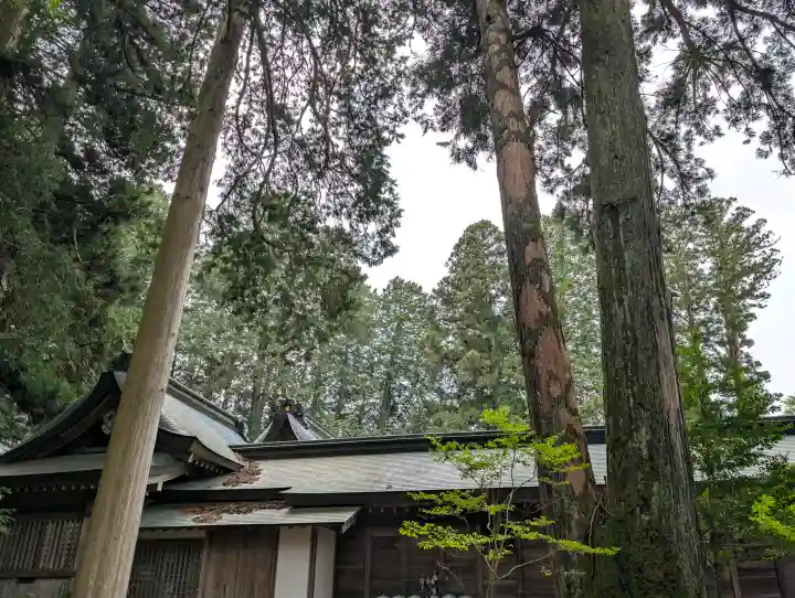飛驒一宮水無神社(岐阜県)