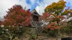 善峯寺(京都府)