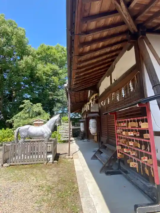 許波多神社(五ケ庄鎮座)(京都府)