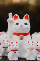 豪徳寺(東京都)