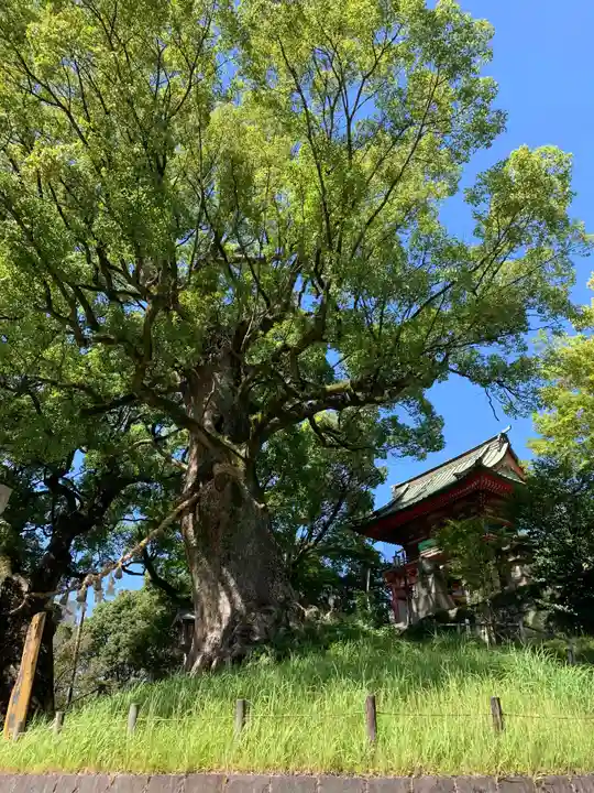 北岡神社の自然