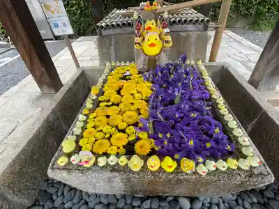 くろ谷 金戒光明寺(京都府)