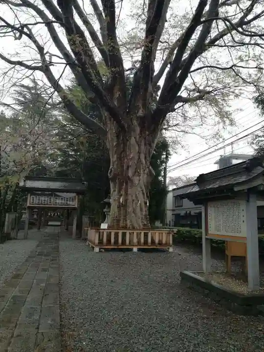 住吉神社の自然