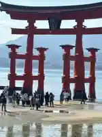 厳島神社(広島県)