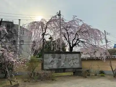 寛永寺(根本中堂)の{uncategorized: "未分類", other: "その他", undefined: "問題あり", building: "その他建物", grave: "お墓", sacred_gate: "鳥居", guardian: "狛犬", statue: "像", buddha: "仏像", history: "歴史", nature: "自然", garden: "庭園", animal: "動物", pagoda: "塔", temizu: "手水舎", mountain_gate: "山門・神門", sanctuary: "本殿・本堂", subordinate: "末社・摂社", art: "芸術", scenery: "景色", jizo: "地蔵", ema: "絵馬", goshuin: "御朱印", omikuji: "おみくじ", items: "授与品その他", amulet: "お守り", goshuincho: "御朱印帳", eats: "食事", festival: "お祭り", votive_dance: "神楽", shichigosan: "七五三参", wedding: "結婚式", experience: "体験その他", initially: "初詣", around: "周辺", anti_infection: "感染症対策"}
