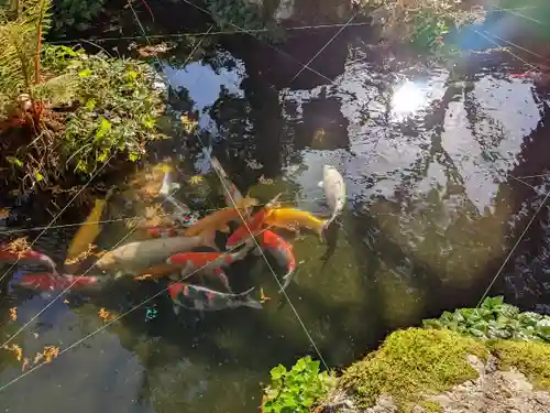 明通寺(福井県)