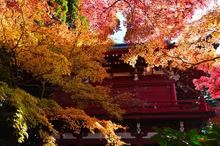 本土寺(千葉県)