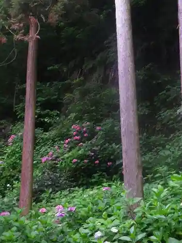 御霊神社の自然