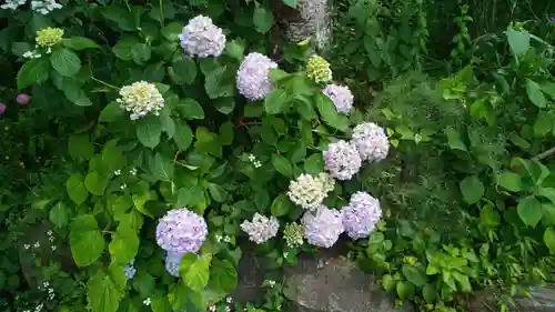 出雲大神宮の自然