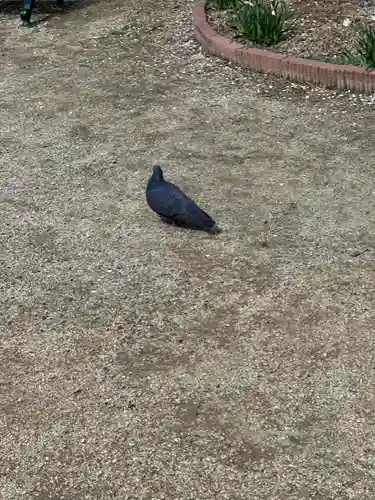屯倉神社(大阪府)