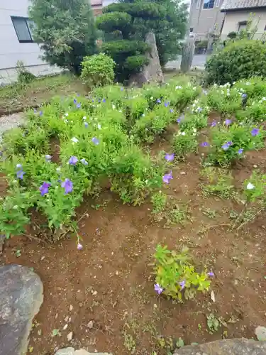 多宝寺(埼玉県)