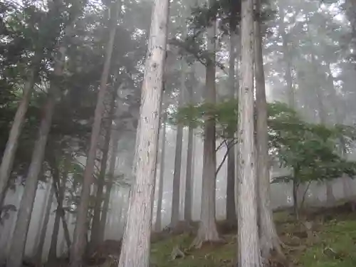 三峯神社の自然