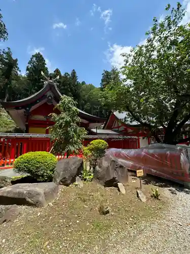 金櫻神社(山梨県)