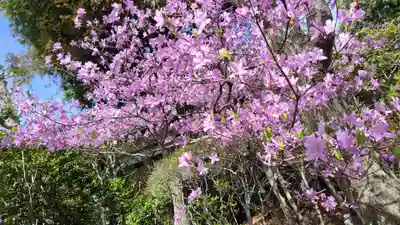 霊源院(京都府)
