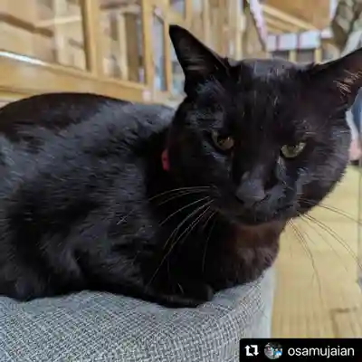 高司神社〜むすびの神の鎮まる社〜(福島県)