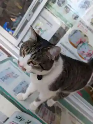 正一位 若草稲荷神社(宮城県)