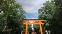 賀茂御祖神社（下鴨神社）(京都府)